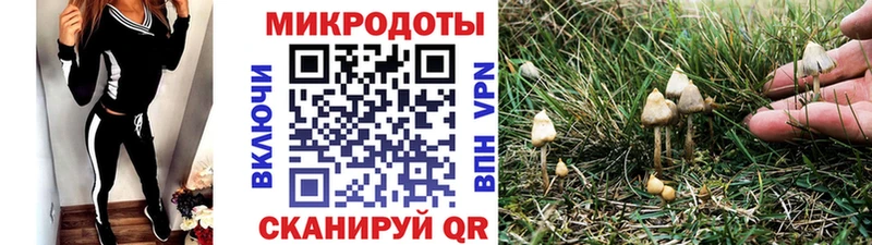 купить Сасово KRAKEN ссылки Псилоцибиновые грибы Psilocybine cubensis